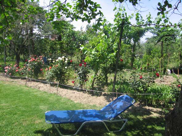 Eine GArtenliege zum entspannen.